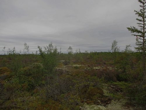 СЕРГЕЙ ДУДОВ: Организация работ стала для нас одним из наиболее критичных моментов в Финляндии