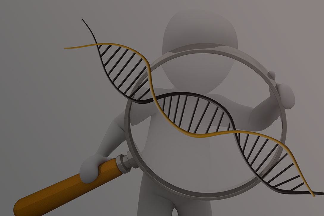 Можно ли скрестить ежа и ужа?