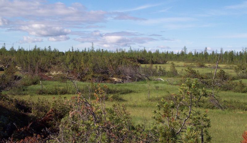 Эколого-геокриологические и геотехнические условия газотранспортной системы «Сила Сибири»