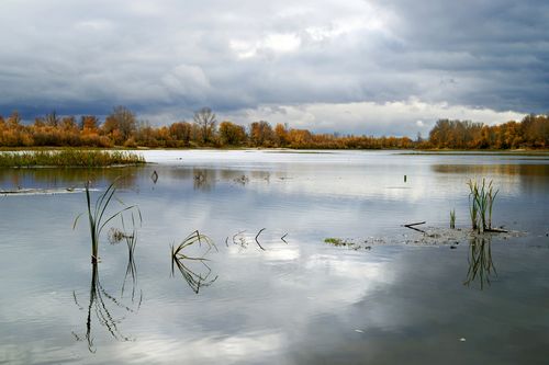 Формирование максимального стока рек и малых водотоков полуострова Ямал