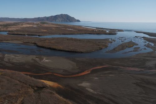 Техногенной катастрофы на Камчатке нет: почему следует поверить в «красный прилив»