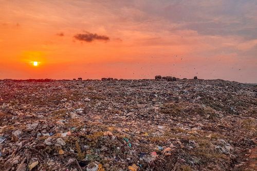 Верить ли, что мусорная реформа станет в России успешной?