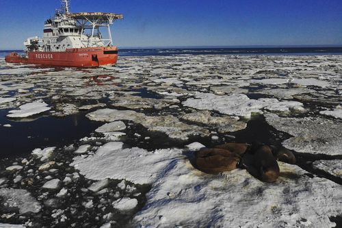 От инженерных изысканий до геотехнического и ледового мониторинга: 15 лет Аналитическому центру МГУ