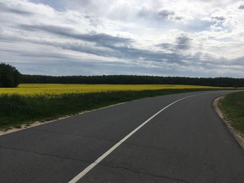 Трасса М-12 подорожала из-за изысканий, но сдадут ее все равно раньше срока. Нюансы параллельного проектирования