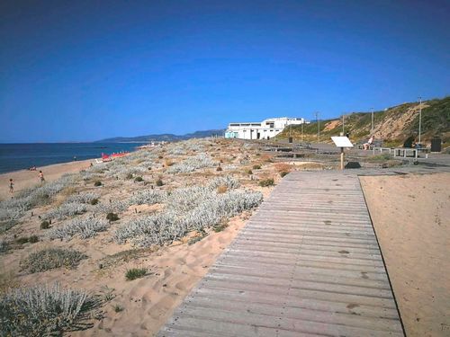 Проблемы ландшафтной архитектуры: спроектированные городские экосистемы и их общественное признание. Часть 1