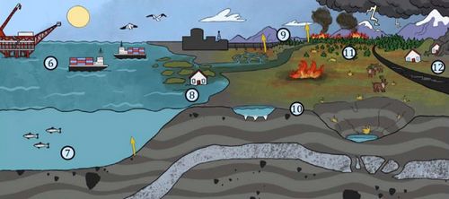 Необходимо свести к нулю выбросы парниковых газов при сжигании ископаемых углеводородов, чтобы защитить экосистемы криолитозоны